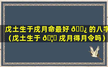 戊土生于戌月命最好 🌿 的八字（戊土生于 🦋 戌月得月令吗）